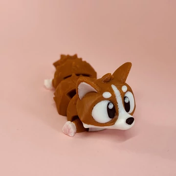 Corgi