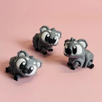 Koala